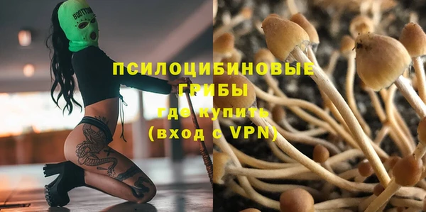 амф Вязники