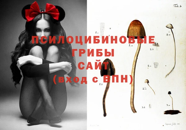 тгк Вязьма
